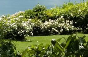 Villa La Moraiola - Foto 26