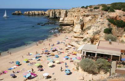 Pine Tree Seaside Apartments 500m to Beach - Foto 25