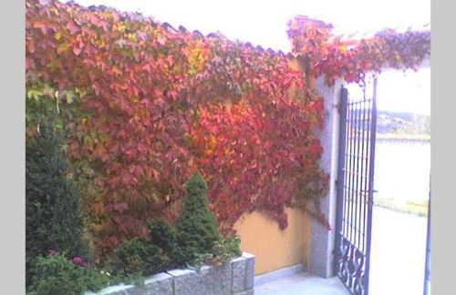 Casa del Portalón - Foto 7