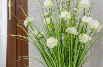 Casa Amelia lago Maggiore - Foto 16