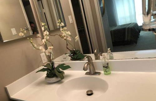 Houston Med Center/NRG Area 2B/2B All Inclusive - Foto 42