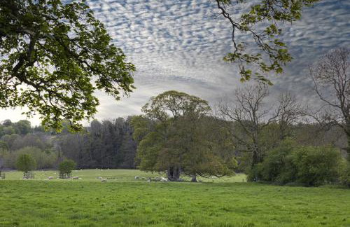 The Stable - Foto 10