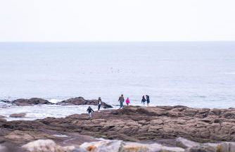 Maison sur la plage , pour vivre des vacances iodées " La Bastille" - Foto 47