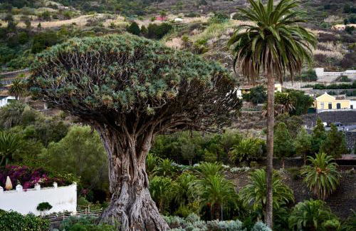 Suite Bufadero - Foto 26