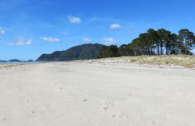 Ocean Breeze Resort - Photo 50