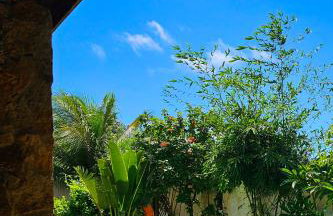 Casa Dos Patos - Foto 6