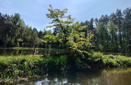 Leśna Chata kuracyjna nad rzeką z sauną w Borach Tucholskich - Foto 30