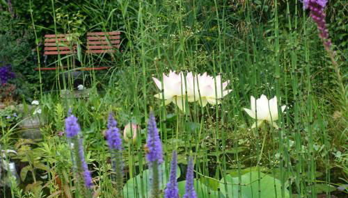 Ferienwohnung Himmlingen - Foto 3, Garden