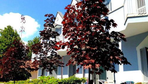 Margherita Rimini - Appartamenti al Mare - Foto 3