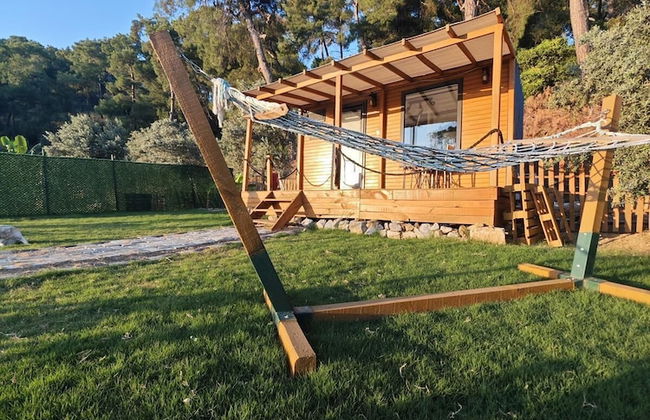 TİNY MİNİ HOUSE - Foto 5