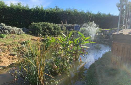 DOMAINE D'ELUSA - Photo 18