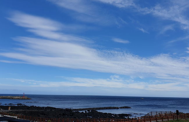 Jeju Ollero - Foto 43