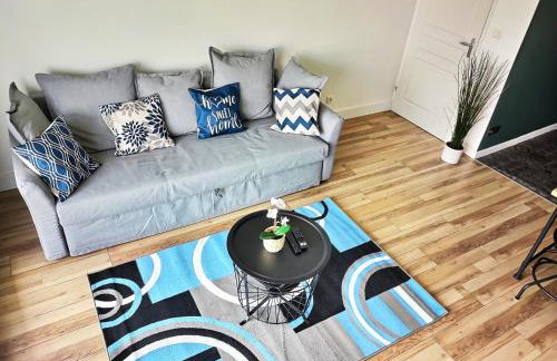 L'Ebenisterie - Sublime Type 2 Lumineux - Grand balcon - Foto 8