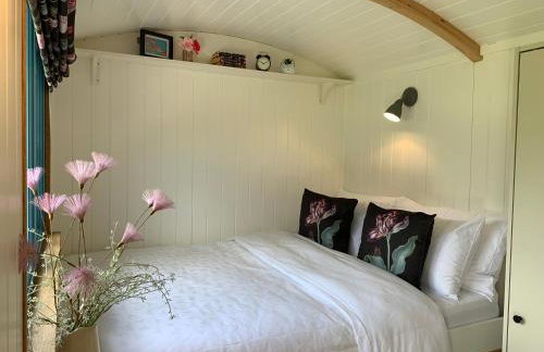 St. Kew Shepherd Huts - Foto 26