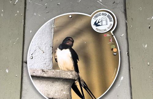 Casa fiordaliso - Foto 28