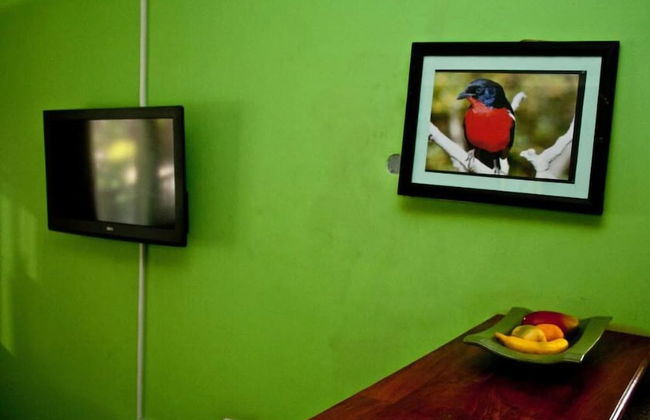 Rivernest Boutique Cottages - Foto 10