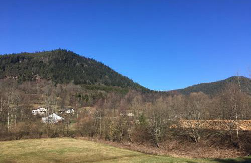 Le chalet des Cambuses - Foto 48