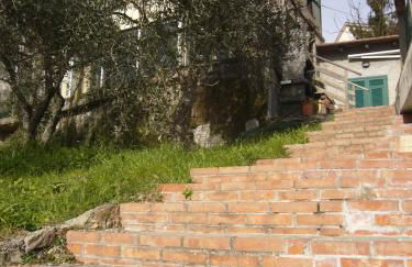 Agriturismo OlivArancio - Foto 67