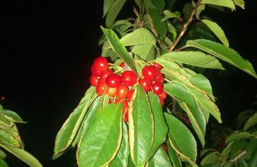 Douro Balcony - Foto 68