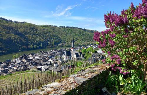 Burg Coraidelstein - Foto 37