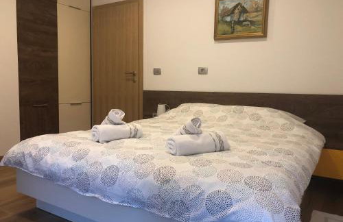 Apartmani Izvor - Tuheljske Toplice - Foto 32