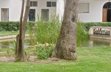 SALOMAR GOLF - Foto 23