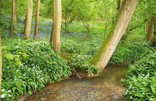 Brook Lodge Essex - Foto 13