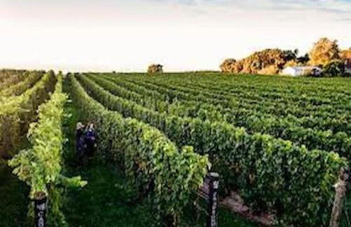 Rivers Edge Lofts - Unit 10 - Foto 21