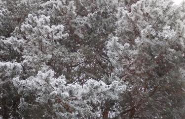 Całoroczny domek Morze - Foto 11