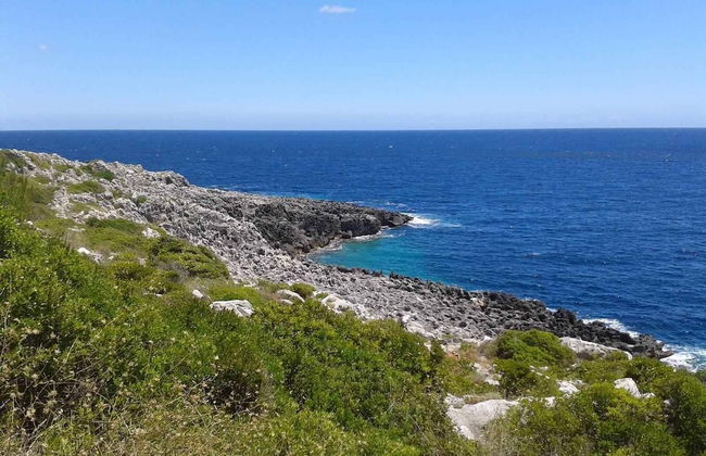 Mirto Sopra - Casa in Pietra sul Mare - Photo 31