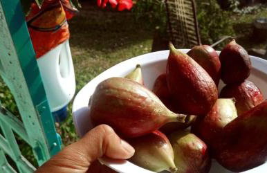 Villa Ágape - Chapada dos Veadeiros - Foto 18