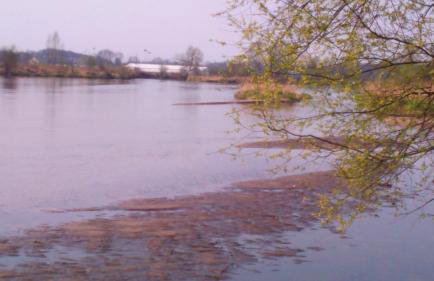 Apartamenty Warka - Foto 10