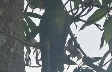 Lindo Sítio Estilo Moderno - Foto 68