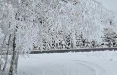 Ferienhaus-wurzbach - Foto 26