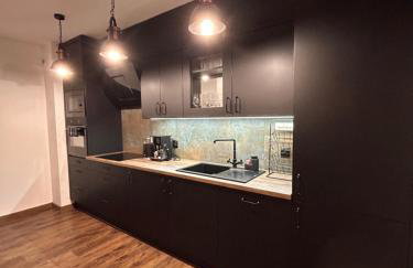 BoleslaviaApartments - Apartament Arte 2 - parking free, EV - Foto 5