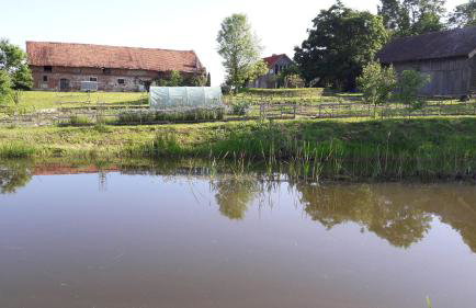 Blanki Siedlisko agroturystyczne Jestem - Foto 17