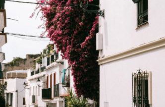 Casa Jilou - Foto 24