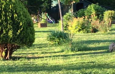 La Gentillere “Ancien Ermitage”PNR du Perche 3 * - Foto 39