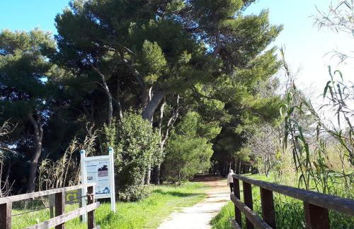 Pineto-Italy-Appartamento vista Mare e Pineta - Photo 21