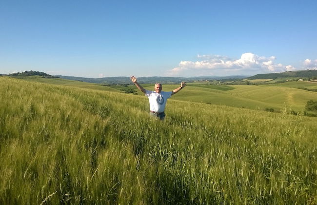 Artemisia negli ulivi B&B - Photo 18