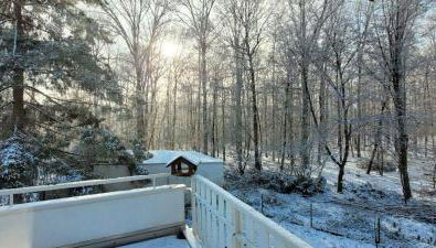 Forest Inn, retreat in nature - Foto 4