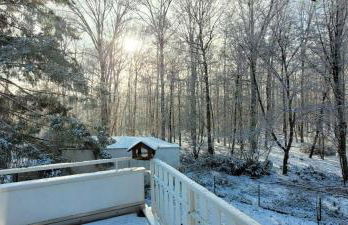 Forest Inn, retreat in nature - Foto 4