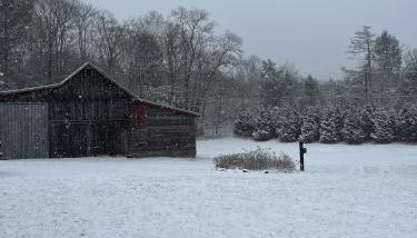 FRENCH WOODS FARMHOUSE Catskills Upper Delaware River Hancock NY - Foto 4
