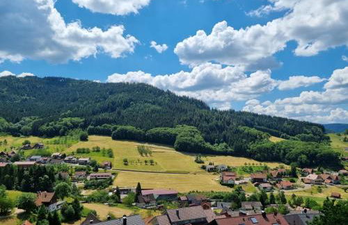 Ferienhaus Schwarzwaldleben - Foto 22