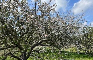 Maison Capucine - Foto 29