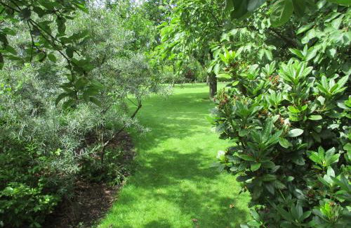 FeWo Trientje - Foto 29