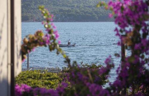 Villa Opatija - Photo 16