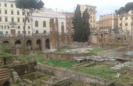 Suite Argentina - Foto 45