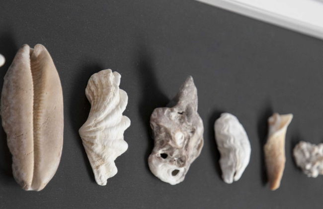 Holiday Home Near the Sea - Foto 39