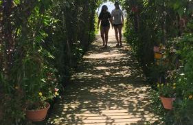 Casa da A'LICE - Photo 18